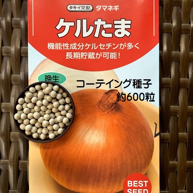 楽天市場 ８月頃より販売予定 ケルたま玉葱 種 コーティング種子約600粒 40ミリリットル タマネギの種まき辛さを解消したコーティング種子規格 タキイ交配 荒川種苗 楽天市場店