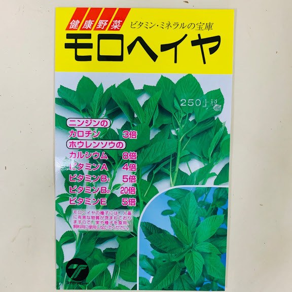 楽天市場 モロヘイヤ 種 小袋詰 葉にはぬめりがあるヘルシー野菜 4 7月まき 7 10月収穫 荒川種苗 楽天市場店