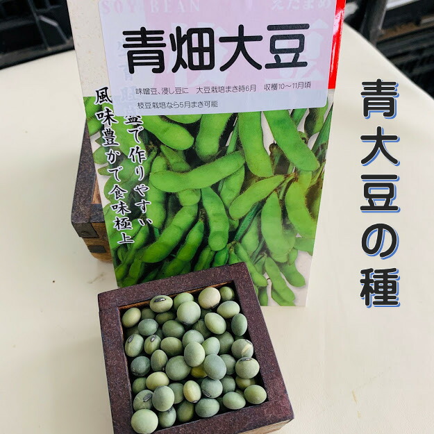 楽天市場】どだれ 土垂 里芋 種芋 1キロ 子芋 青茎 ねばりがあり