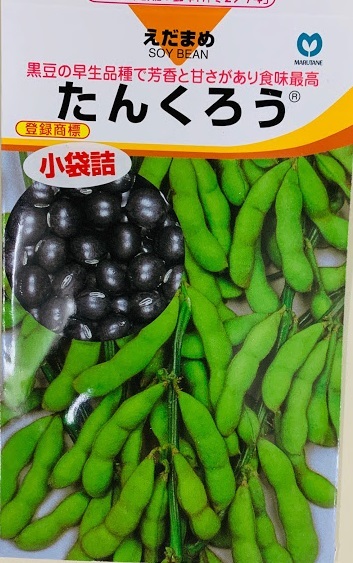 楽天市場 たんくろう 黒枝豆 のタネ 約60粒 50ﾐﾘﾘｯﾄﾙ メーカー丸種 播種後80 85日後収穫 荒川種苗 楽天市場店