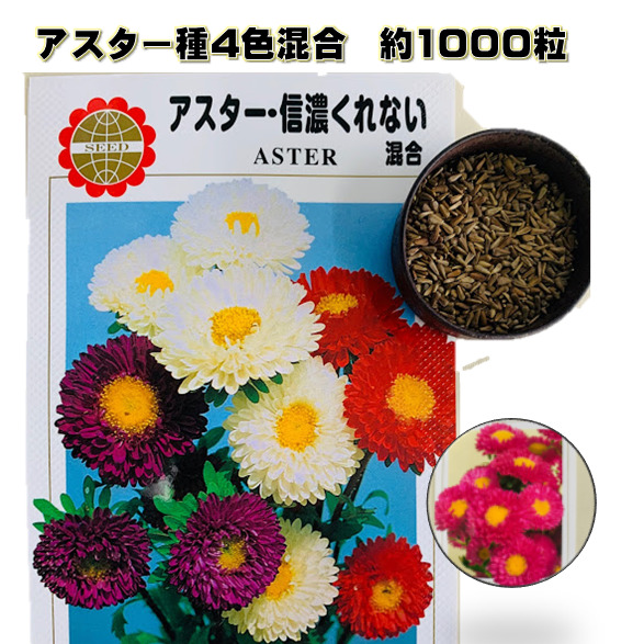 楽天市場 アスター種子 4色混合 5ﾐﾘﾘｯﾄﾙ 約1000粒 切り花向き 赤 白 紫 桃が混ぜこぜに入っています 中間地で4月下旬まきで8月中旬頃咲き 高性種 品種信濃くれない エゾギク 荒川種苗 楽天市場店