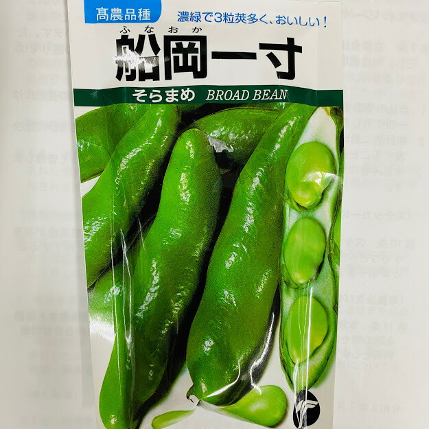 楽天市場】一寸そら豆 種 1デシリットル（約22粒）甘味があり