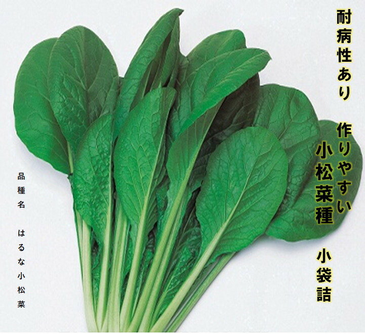 楽天市場 小松菜 種 耐病性あり作りやすい品種 はるな小松菜 小袋詰 メーカー名 タカヤマシード 葉物野菜 栽培期間短い 荒川種苗 楽天市場店