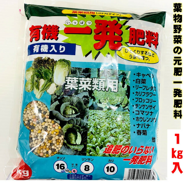 楽天市場 元肥有機一発肥料１ｷﾛ 葉菜用 ｷｬﾍﾞﾂ ﾌﾞﾛｯｺﾘｰ ﾊｸｻｲ ｶﾘﾌﾗﾜｰ ﾘｰﾌﾚﾀｽ ﾎｳﾚﾝｿｳ ｺﾏﾂﾅ ｼｭﾝｷﾞｸ など秋 野菜の肥料におすすめ 家庭菜園 植え付け１週間前くらいに土壌全体に混ぜておくだけ 90日肥効型 住化農業資材 荒川種苗 楽天市場店