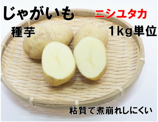 楽天市場】7年産 出島 1kg じゃがいも 種芋 サイズSML 広島県