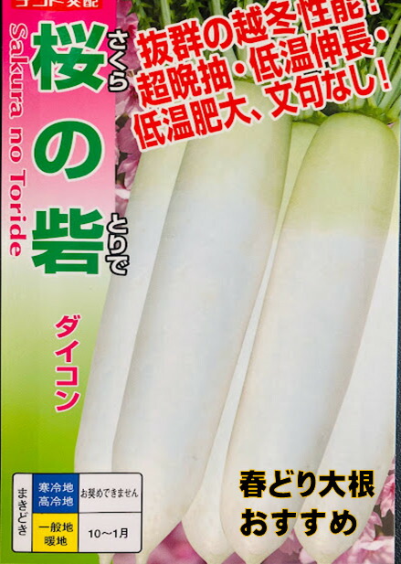 【抱合せ発送♪】 春キャベツ8～9個×2箱 キャベツスライス機 RCS-71 キャベツー | 製品情報 | 株式会社