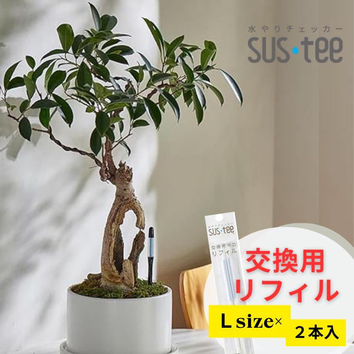 『心に水やり』 61oaEQepo1L._UF350,350_QL80_.jpg
