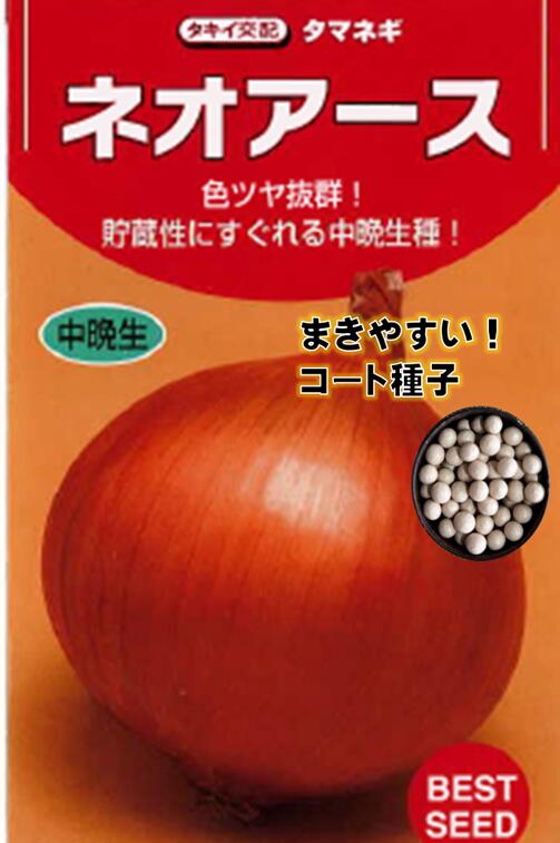 楽天市場】ネオアース玉葱 種 コート種子約600粒（40ミリリットル）2L