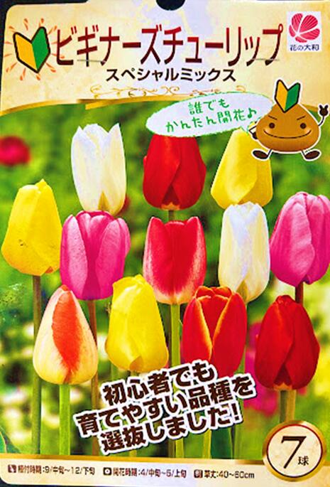 楽天市場】チューリップ球根 5球パーロット咲 色 : 荒川種苗