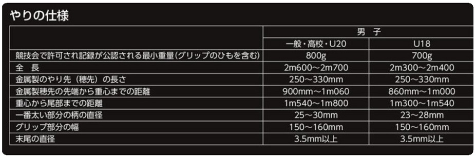 ニシ・スポーツ（NISHI）やり スーパーDR 80ｍ JAAF 槍投げ 大型送料1