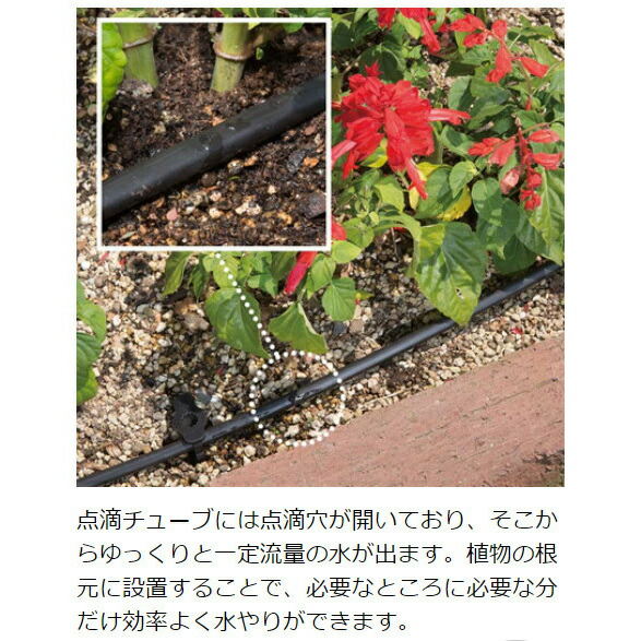 タカギ 水やりスタータ一揃いの道具 Gkk101 Sanmatiaswsd Com Ar