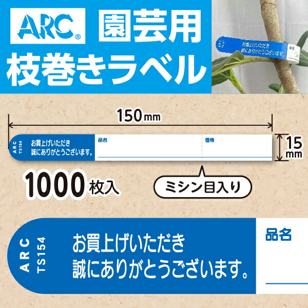 imgrc0087590713.jpg