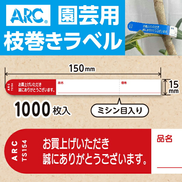 imgrc0087590739.jpg