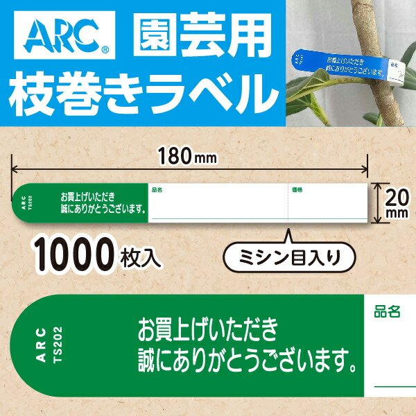 imgrc0087643192.jpg