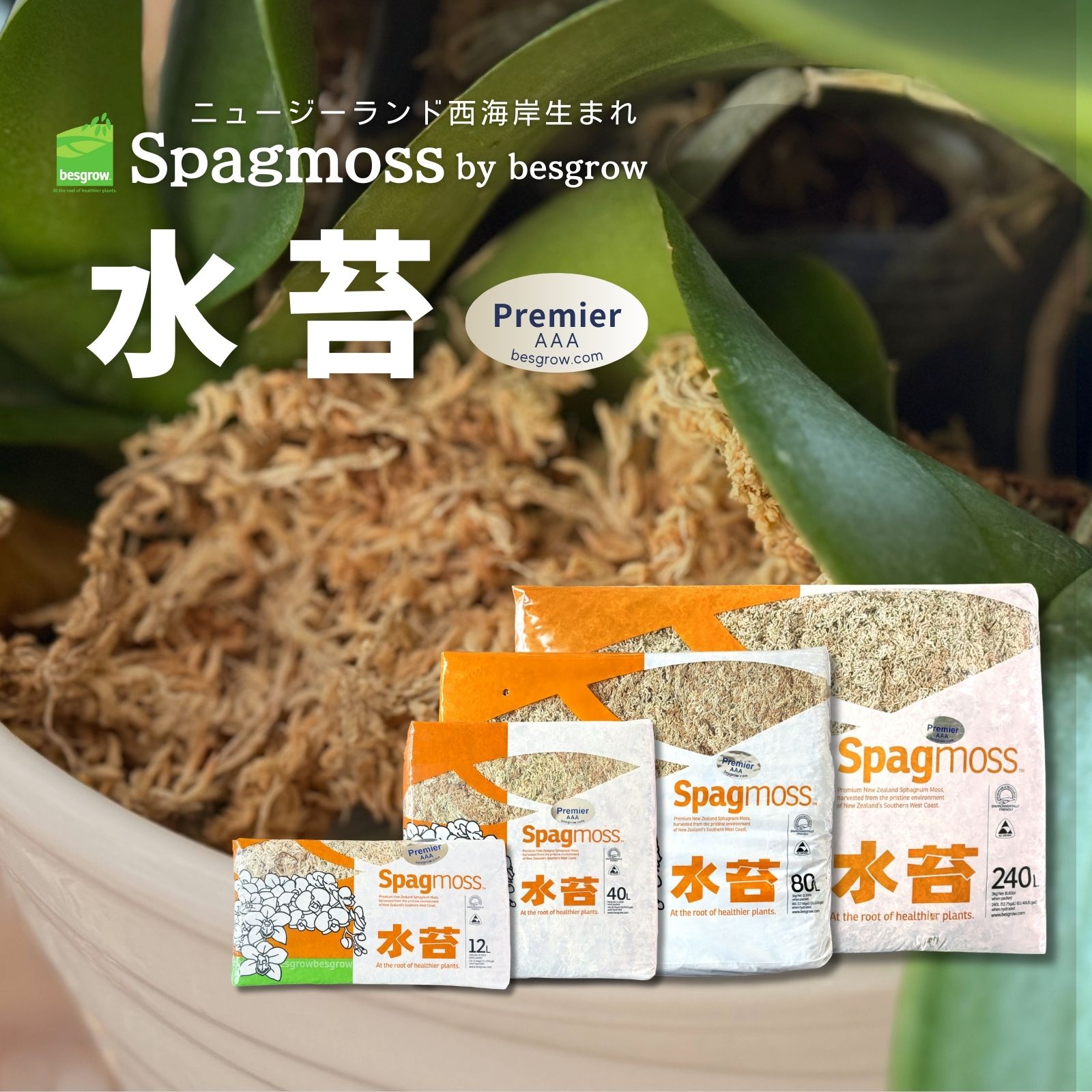 水苔 ニュージーランド産 AAA プレミアム ハイグレード premium 圧縮 胡蝶蘭 ビカクシダ コウモリラン Spagmoss インアウトドア|アーチリテイルズ 店