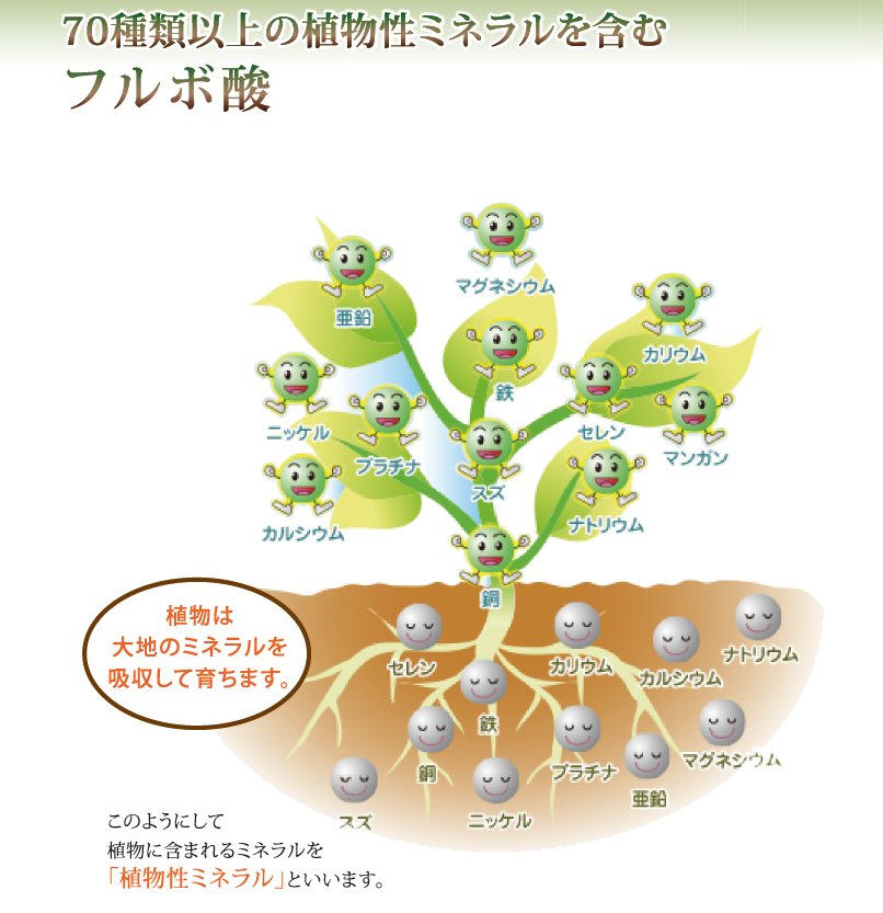 フルボ酸原液 1000mlミネラル 健勝 キレート化効果生まれつき構成成分 水溶特色 減食 栄養物反物 Hiksudan Com