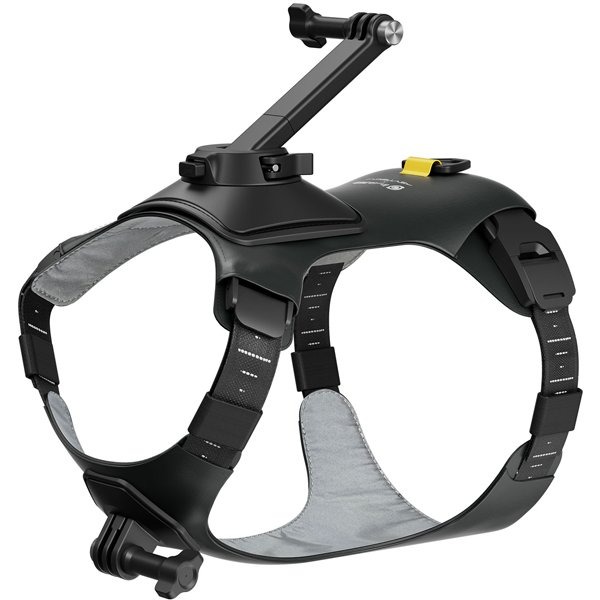 楽天市場】Insta360 新品アウトレット(箱不良／未使用新品) GO 3