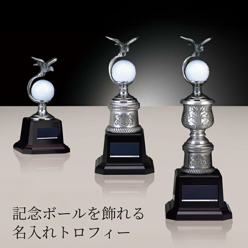 名入れ ゴルフ トロフィー ボール置き付き 楯 【BW3559】 ホールインワン エイジシュート アルバトロス 記念 トロフィー プレゼント 贈答品 彫刻 プレート付き|ゴルフ記念品 アーカイブプラス