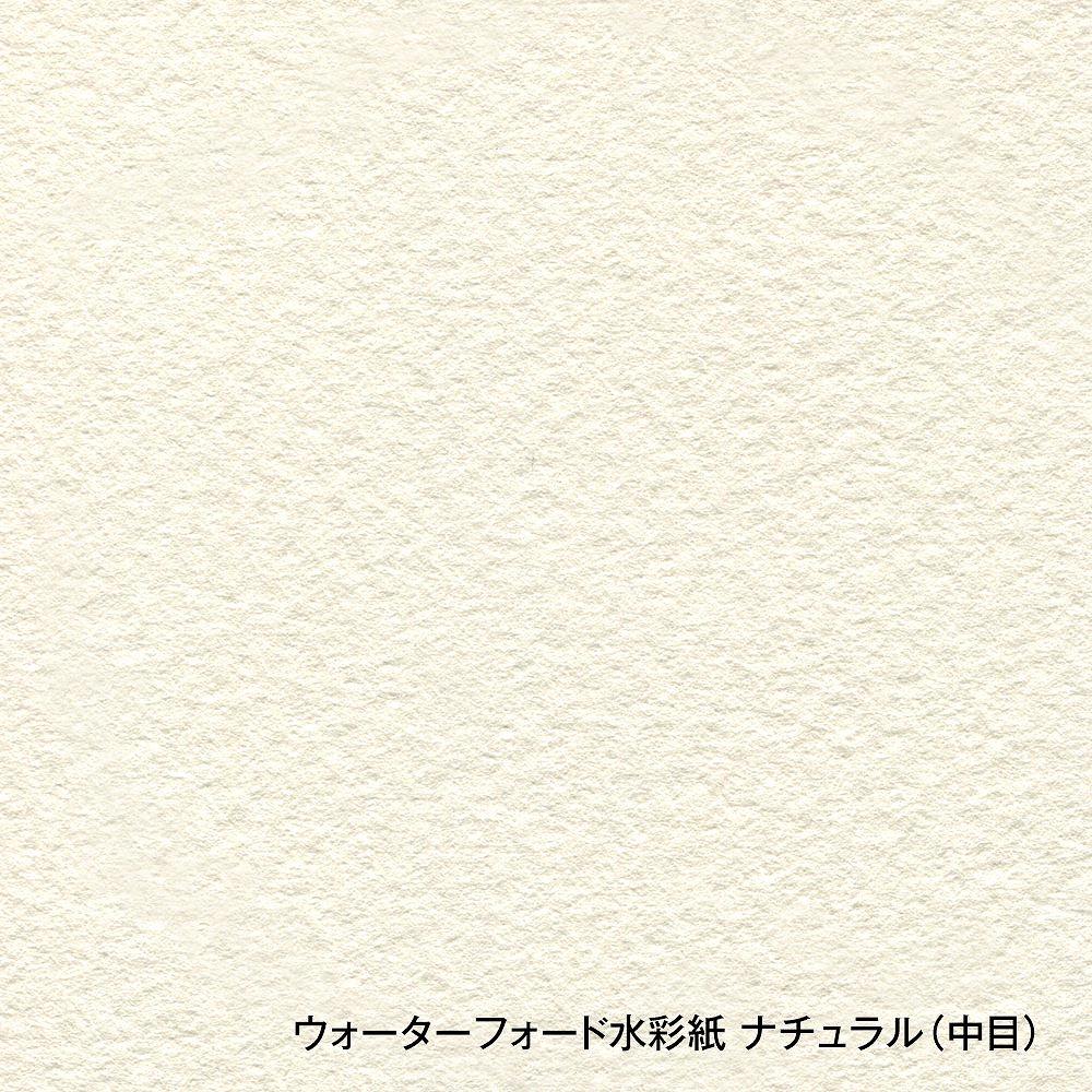 3冊セットウォーターフォード水彩紙ナチュラルスプリング300g中目ES2-F8(270909)