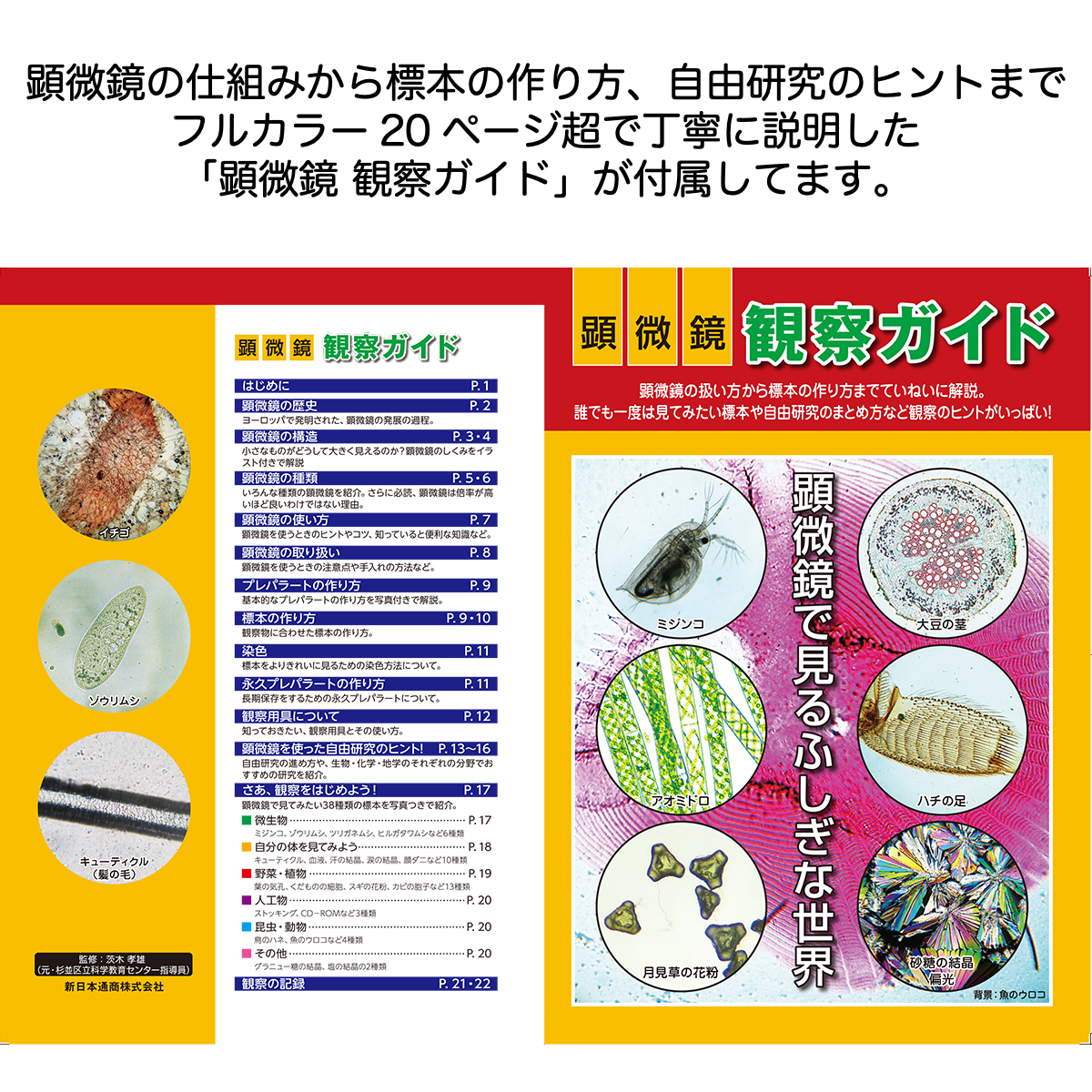 楽天市場 クーポンあり 新日本通商 学習用 顕微鏡 セット 900倍 プロジェクター機能付き 生物顕微鏡 倍率900倍 子供用 小学生 初心者 マイクロスコープ 実験 知育 理科 科学 中学生 高校生 観察ガイド カメラ スマホ 写真 プレゼント 入学祝い 誕生日 自由研究 進学