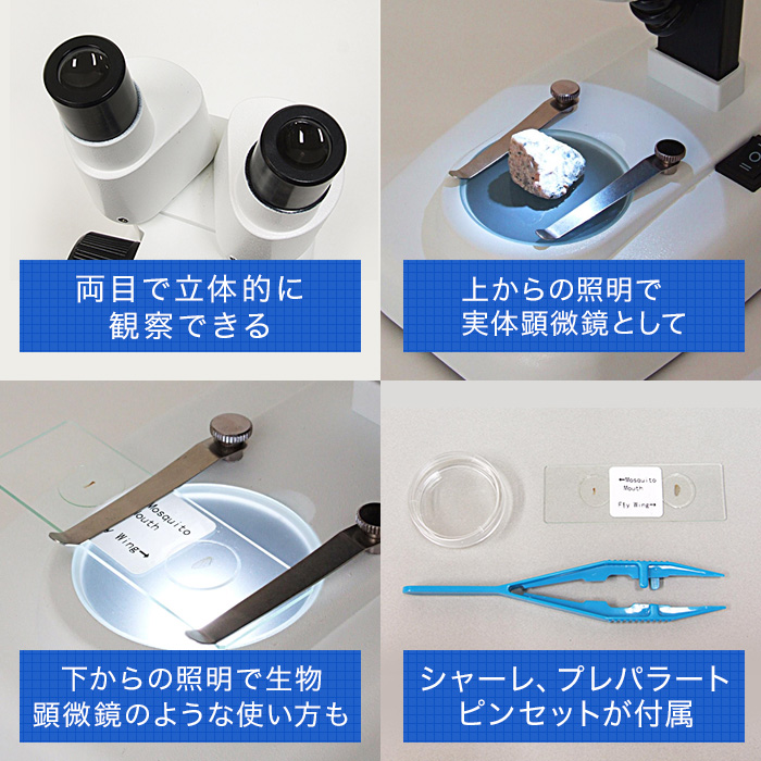 クーポンあり 新日本通商 双眼 実体顕微鏡 40倍 生物顕微鏡 反射顕微鏡 知育 理科 科学 小学生 中学生 高校生 子供用 初心者 進学 誕生日 スマホ 送料無 カメラ 入学祝い メーカー保証 観察ガイド プレゼント 写真 自由研究 マイクロスコープ 使い方 最大55 Offクーポン