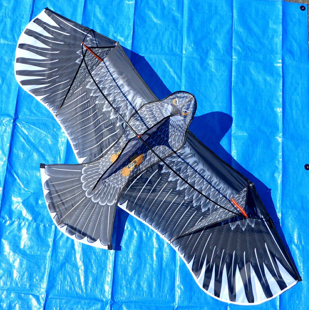 楽天市場】鳥追い カイト 鷹 田んぼ 畑 防鳥 被害 忌避 スズメ対策