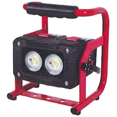 着脱式チャージライト キューブ20W ※取寄品 日動 BAT-RE20CS