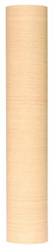 REALA 45cm×15m ※取寄品 アサヒペン RL-S15-2