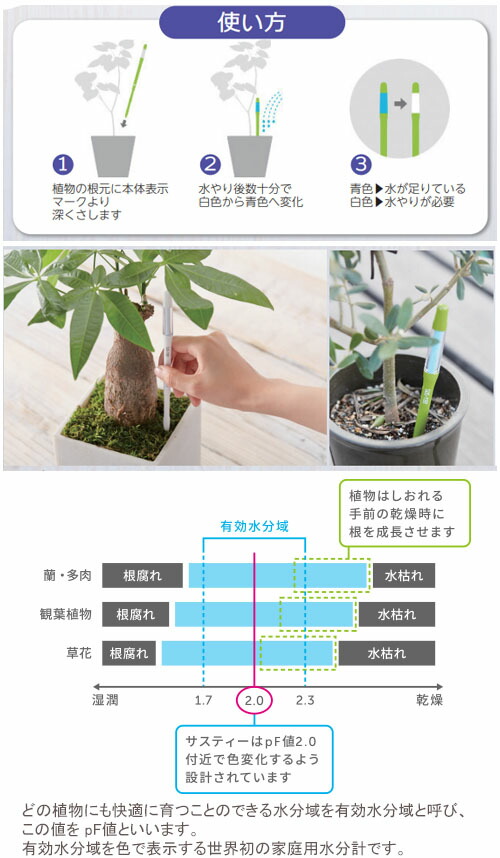 楽天市場 水やりチェッカー Sus Tee グリーン Lサイズ 6 12号鉢 直径18 36cm対応 キャビノチェ C 0013 Gr 水やり 植物 枯れる 失敗 原因 観葉植物 野菜 胡蝶蘭 多肉植物 Pf値 鉢 鉢植え 根腐れ 水枯れ サスティー 大工道具 金物の専門通販アルデ