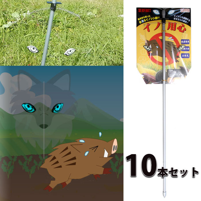 イノ用心 イノシシ避け 10本セット 夜間 オオカミの眼がイノシシを威嚇 取寄品 日本ダム 4503001x10 イノシシ避け いのしし 猪 忌避 撃退 追放 害獣 防獣 農地 畑 田んぼ 稲 稲作 作物 害獣撃退 獣除け 夜光 オオカミ 狼 被害 ぶどう畑 牧場 ゴルフ場 霊園 さつまいも畑
