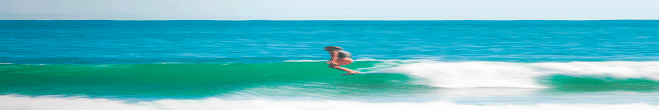 classic surf companyåȥĥ󥷥른
