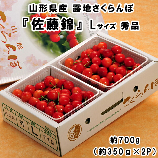 【期間中P2倍&クーポン配布中】『佐藤錦』山形県産 露地さくらんぼ Lサイズ 秀品 約700g（約350ｇ×2P）※冷蔵【2025年6月23日（月）10：00決済完了分で終了】【メーカー直送】【お買い物マラソン★買い回り】