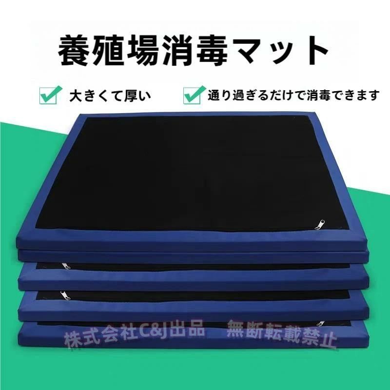 断種フットマット 2個入り口・入口C\u0026J（株)スポンジエントランスマット 部屋の入り口 断種用 ホスピタル 試験室 毛の荒物繁殖用 万物の霊長科学技術 立ち会い場パッド 真っすぐ打つ手