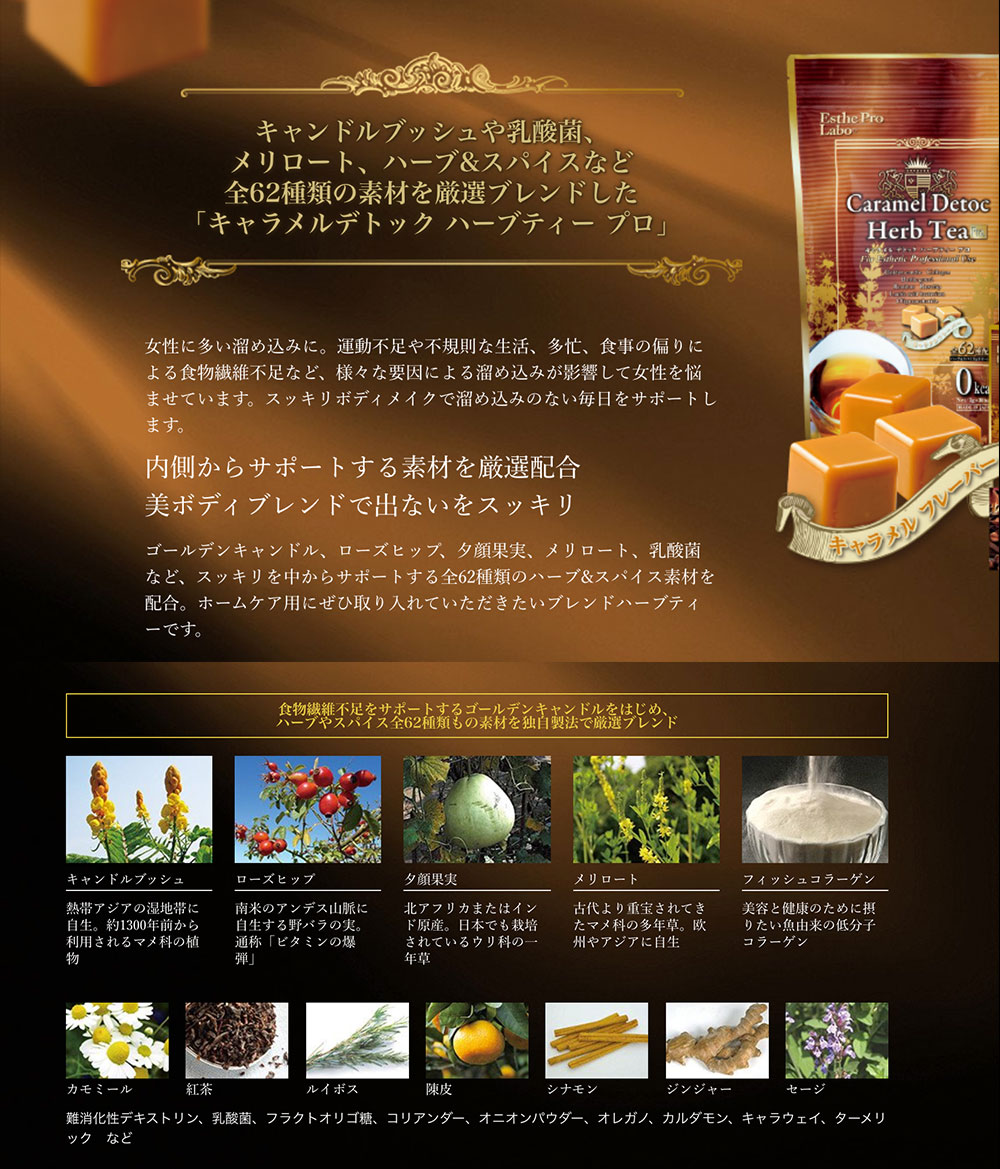 大阪本物 エステプロラボ キャラメルデトック ハーブティプロ 3g30包10個 デトックス ハーブティー 売り出し超安い Ssl Daikyogo Or Jp