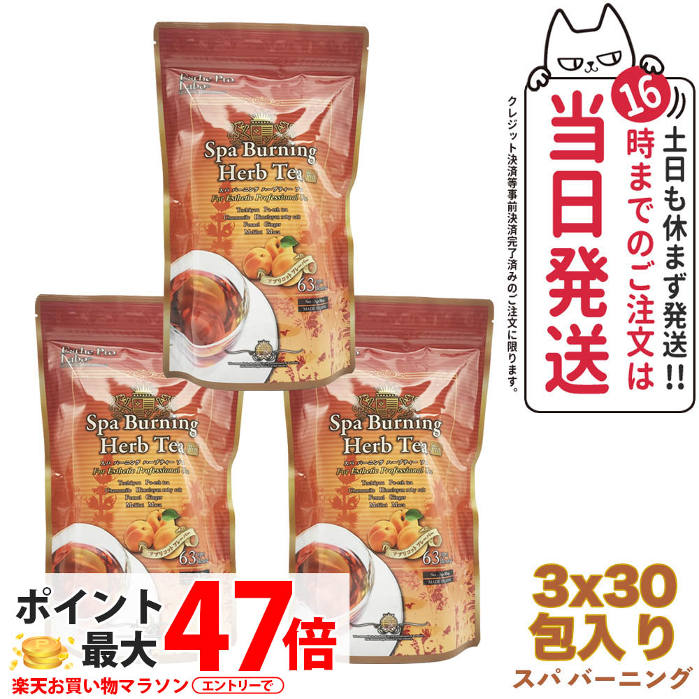 【3袋セット・賞味期限27年/28年】エステプロラボ スパ バーニング ハーブティー プロ 3g×30 Esthe Pro Labo ダイエット スッキリ 天然素材 おいしい オーガニック ハーブティー 全国送料無料