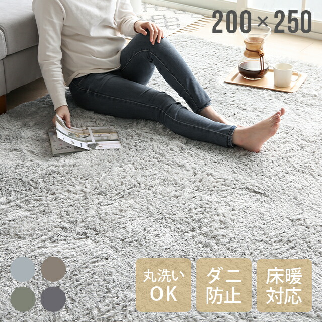 [クーポン券で5%OFF] 引っ敷き シャギーラグ 引っ敷き シャギー 上滑り打ち切り 250×200 洗える マイクロファイバーシャギー 北欧 rug 200×250 Z4糸 引っ敷き 熱っぽい引っ敷き 緑であること 夏用 冬用 貨物輸送無料 今めかしい オシャレ