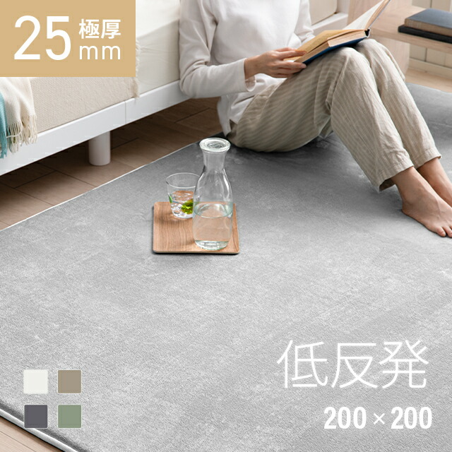 楽天市場】[本日もれなく全品P5倍] ラグ 低反発 200×250 3畳 くすみ