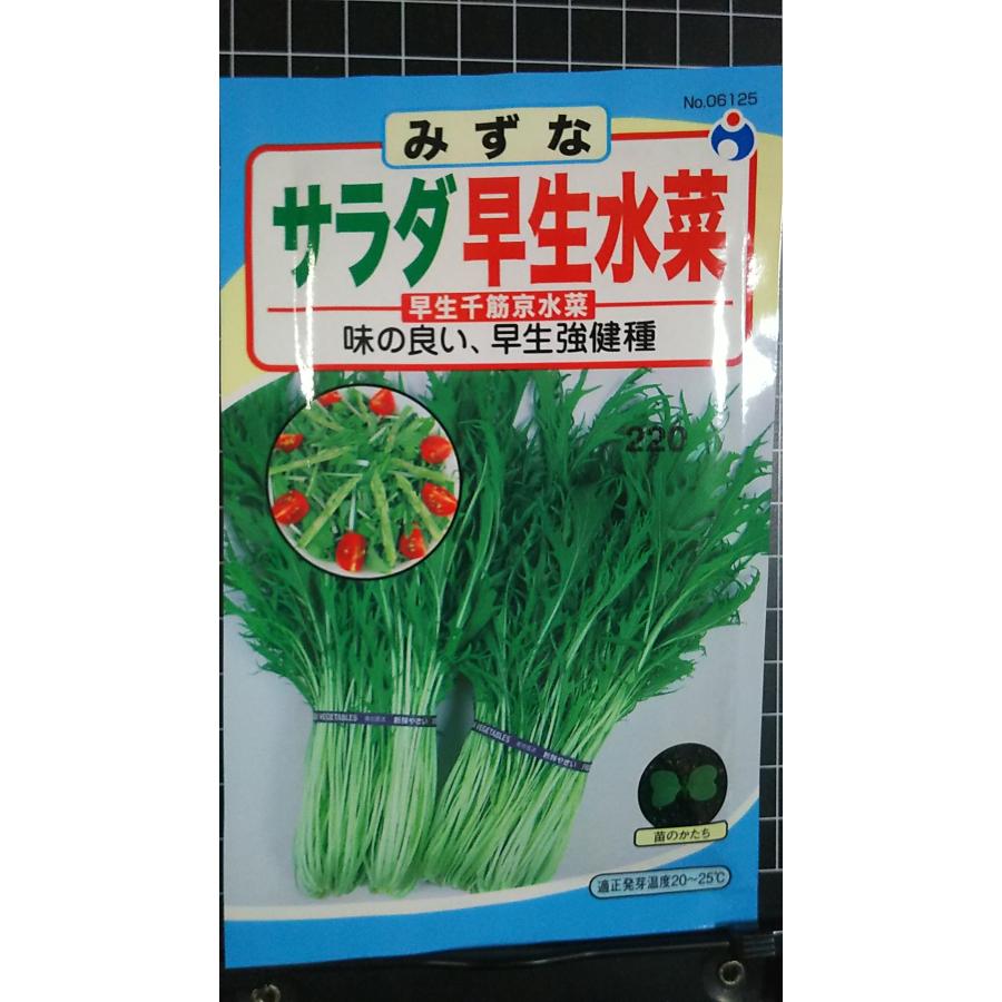 水菜商品 楽天市場】サラダ水菜 種 シャキさら 小袋詰 ミズナ : 荒川種苗