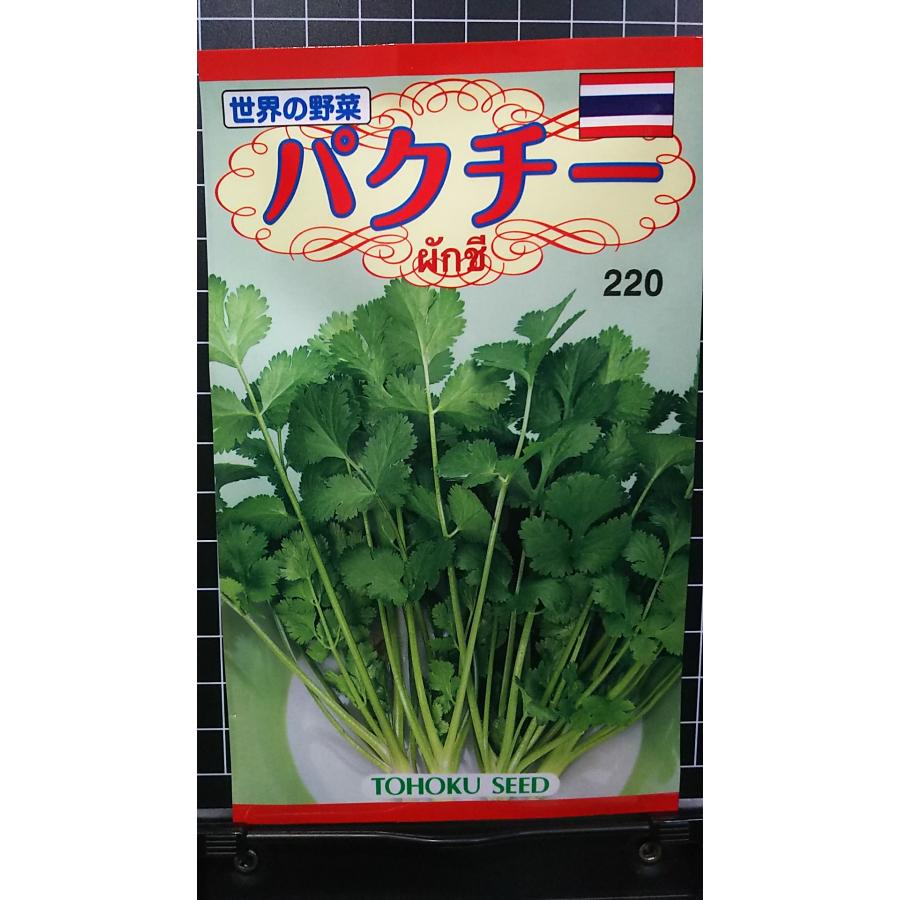 バイオアロマ　パクチー１本 Bio Aroma バイオアロマ「パクチー」 Bio Aroma バイオアロマ