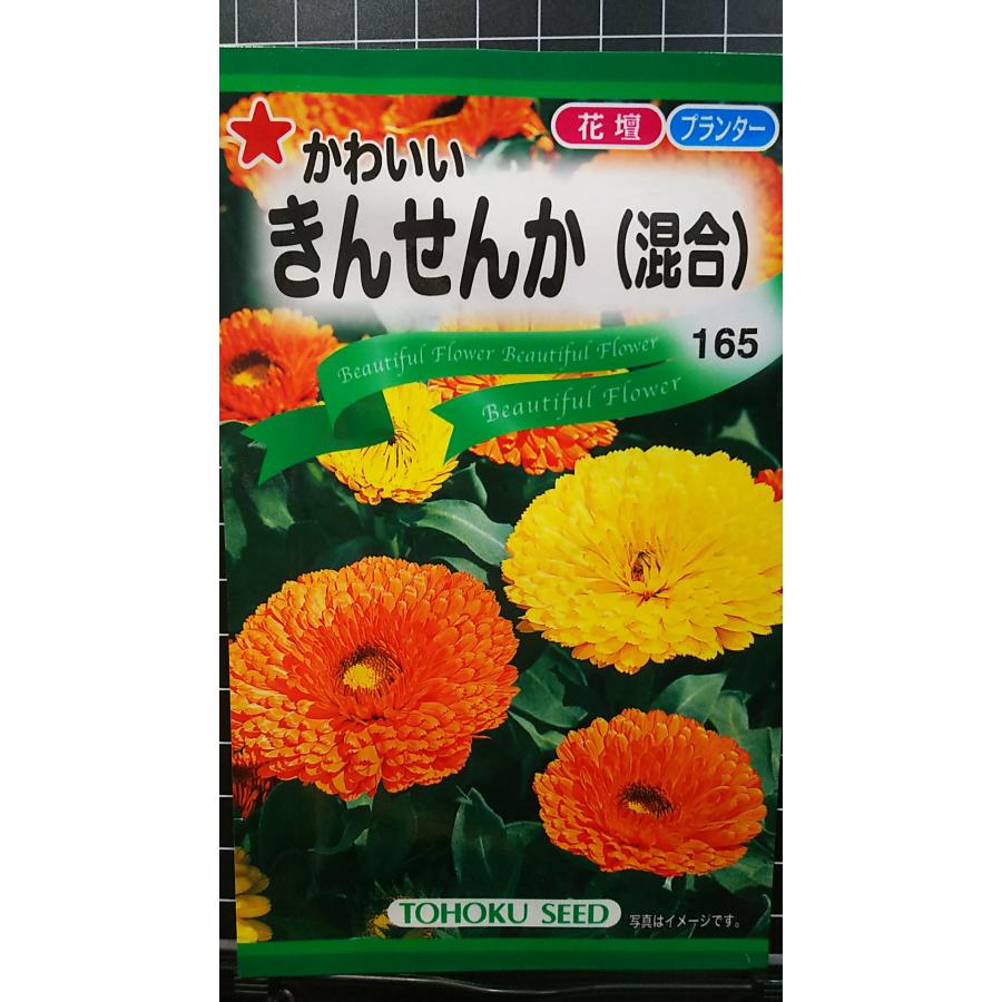 楽天市場】巨大輪 きんせんか 金盞花 種 種子 トーホク : きの