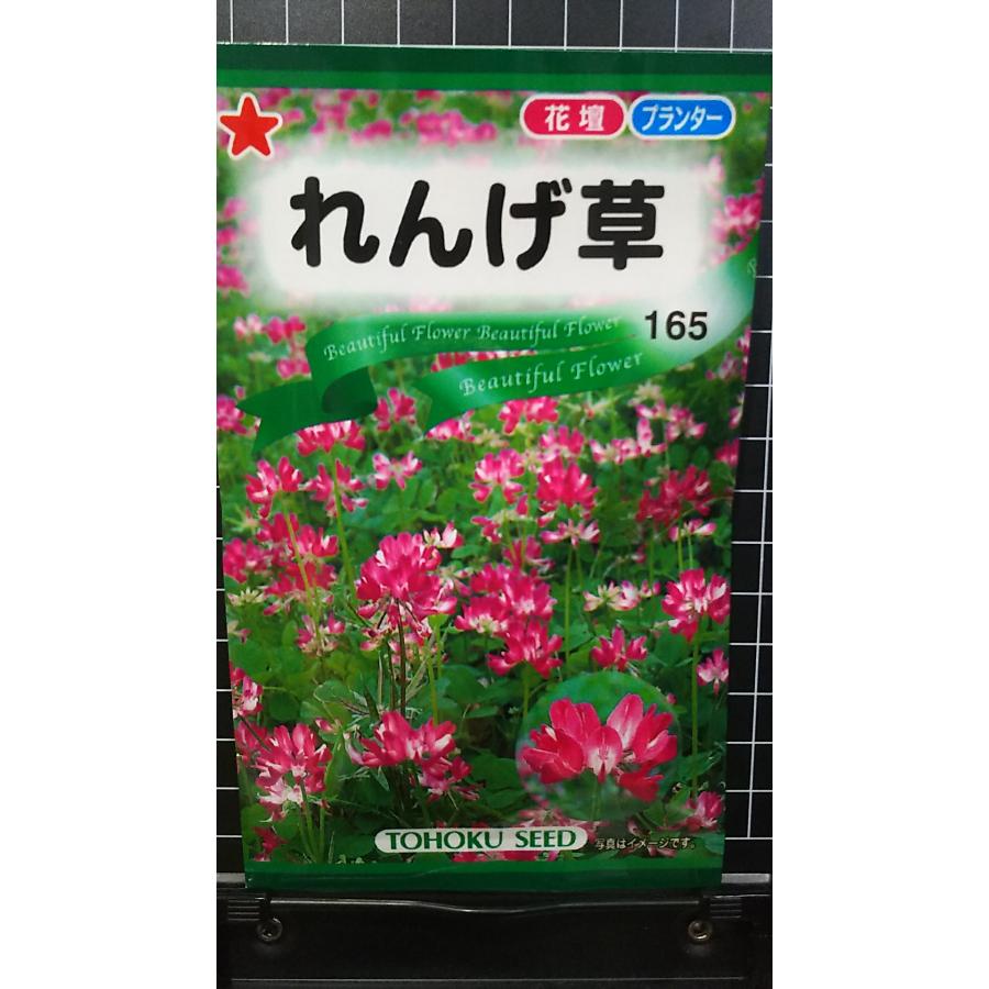 24年　れんげ種子　5kg 24年れんげ種子5kg