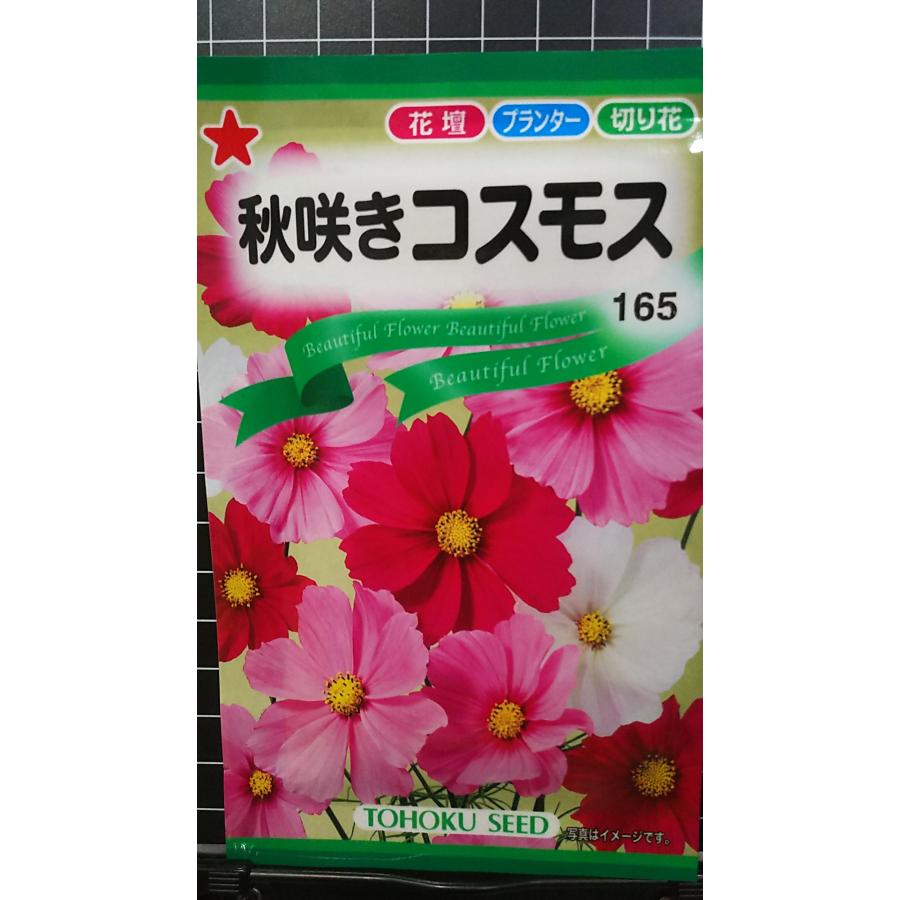 楽天市場】コスモス（秋桜） 種 【 ソナタ プレミアムミックス