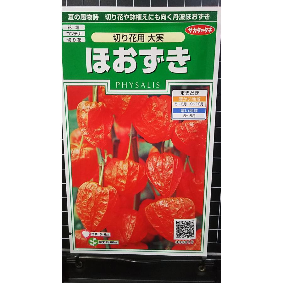 mamiページです。　ほおずきご注文品60個➕2Lサイズ10個 楽天市場】食用ほおずき スウィートミニ 3号苗 : 千草園芸
