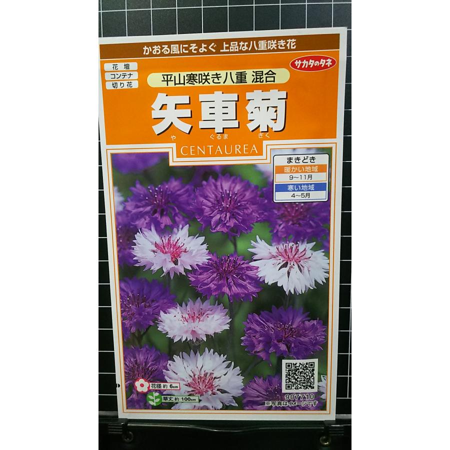 楽天市場】花の種 矢車菊 平山寒咲き八重混合 約70粒 (株)サカタのタネ