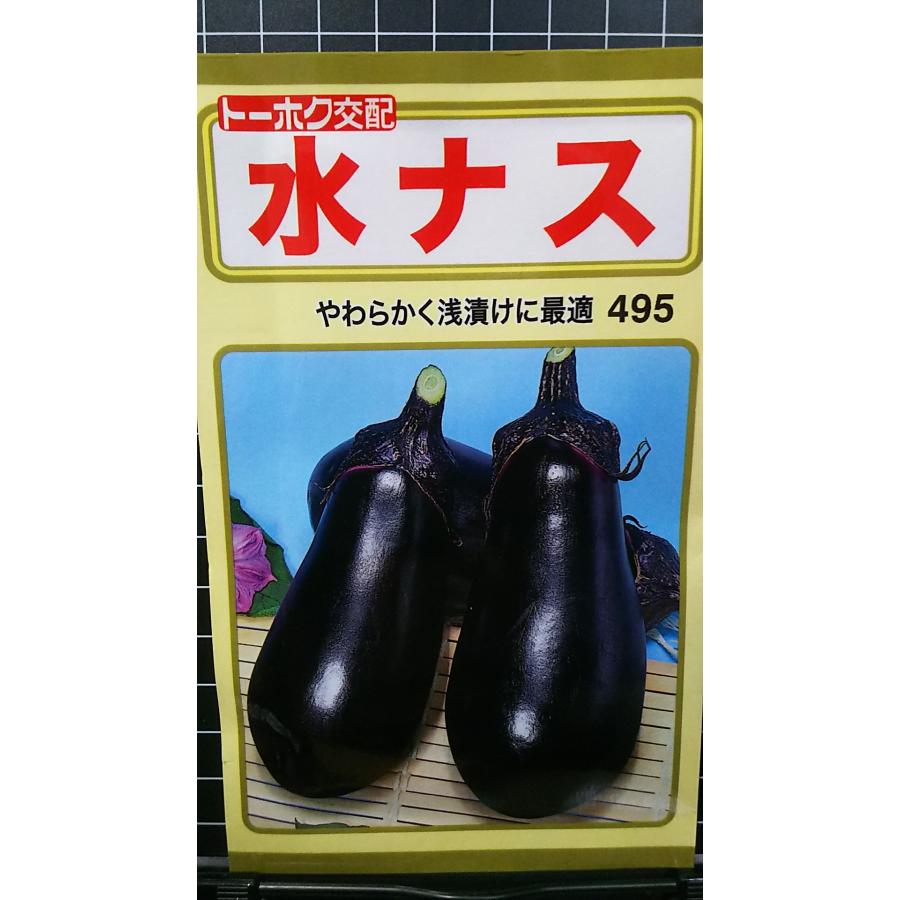 楽天市場】エムソン すずなり ナス F1 野菜苗 9cmポット 3号鉢