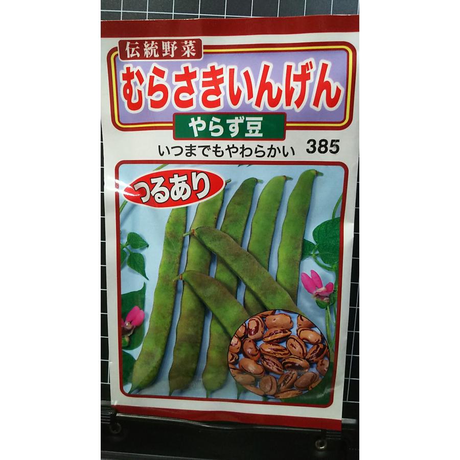 いんげんまめこページ 楽天市場】いんげん春蒔き種子 つるあり シカクマメ 四角豆 15粒