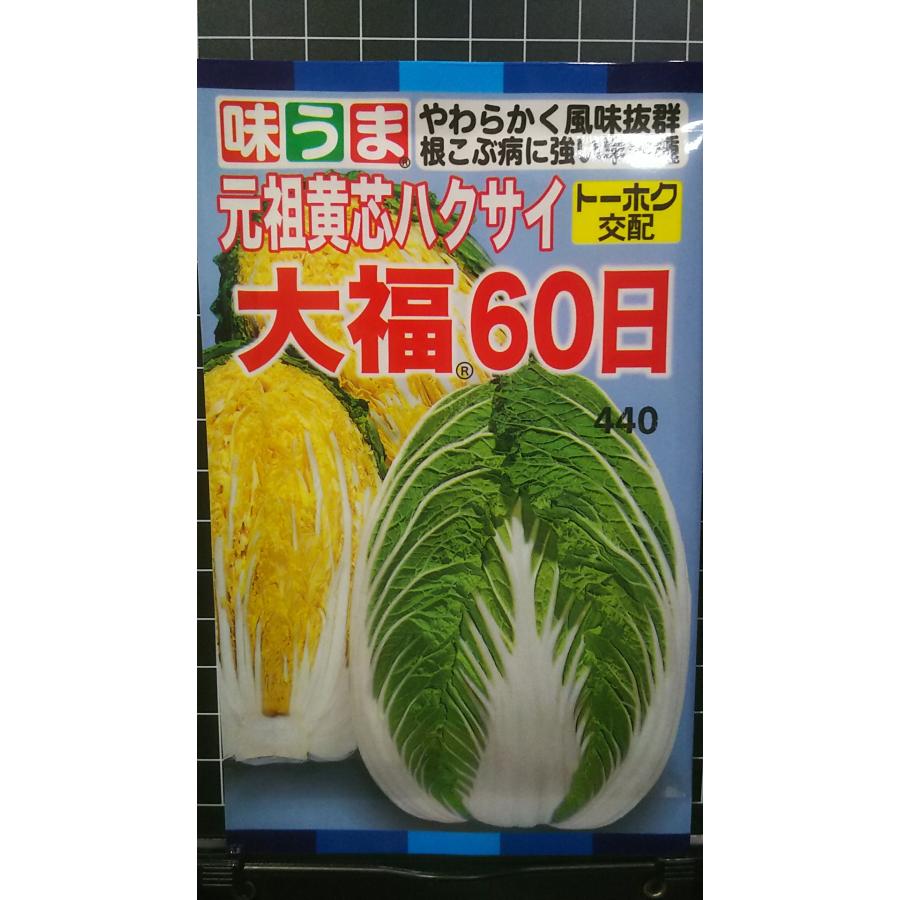 モリ　ハクサイの種　品種結福　訳あり品　11缶 楽天市場】白菜 種 大福75 トーホク ハクサイ おいしい 種類