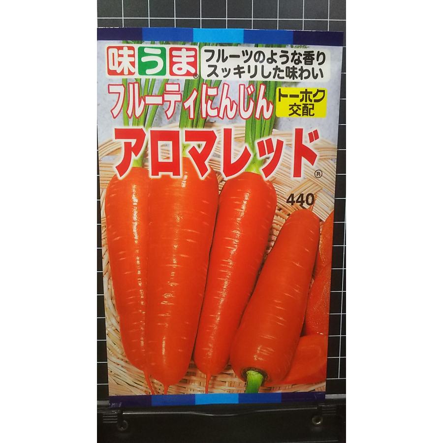 楽天市場】※新種11月以降入荷予定ニンジン種【 F1アロマレッド