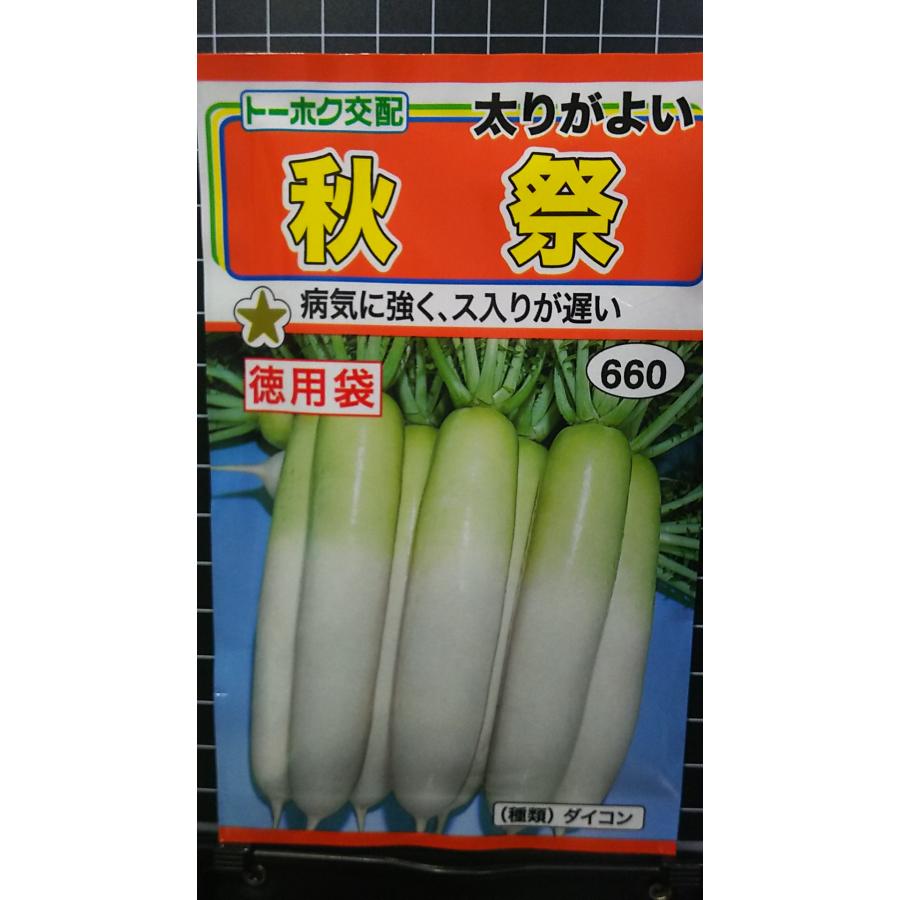 楽天市場】CR 千舞 白菜 80日 ハクサイ 種 種 種子 トーホク : きの