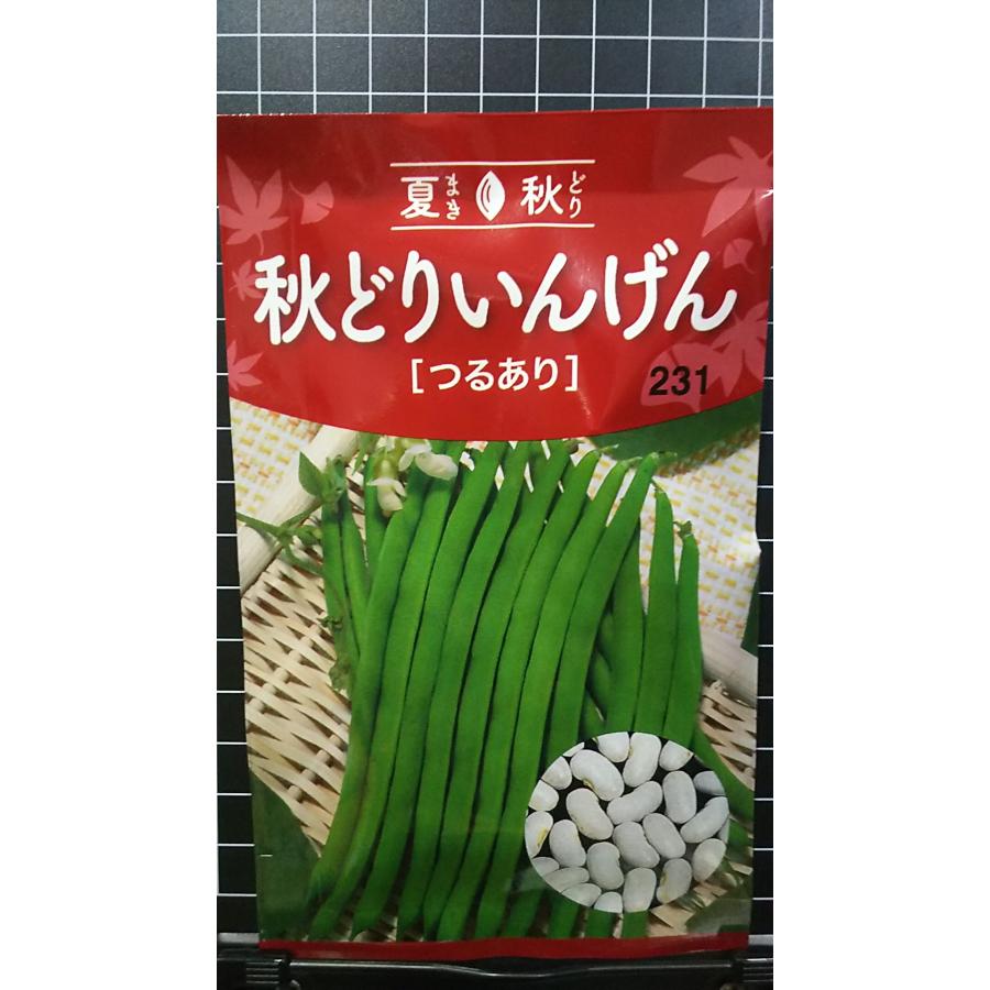 あき　きゅうり＆マルトーカブ種子 あき様 専用 きゅうり＆マルトーカブ種子 （キュウリ 加賀太